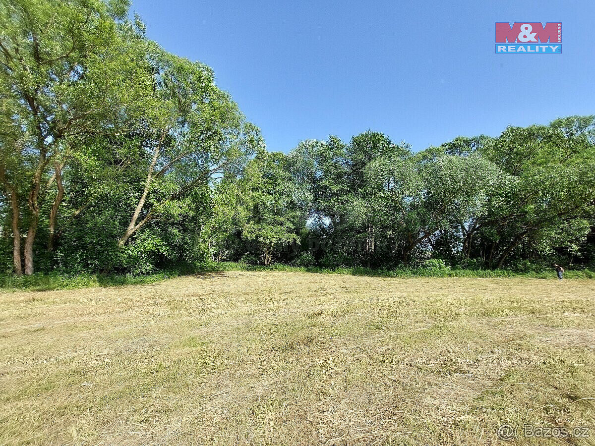 Prodej louky 237 m²
